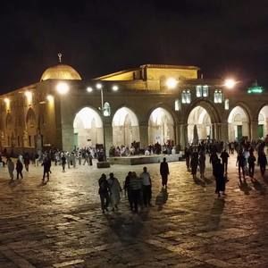 Meet your Posher, Wafieh